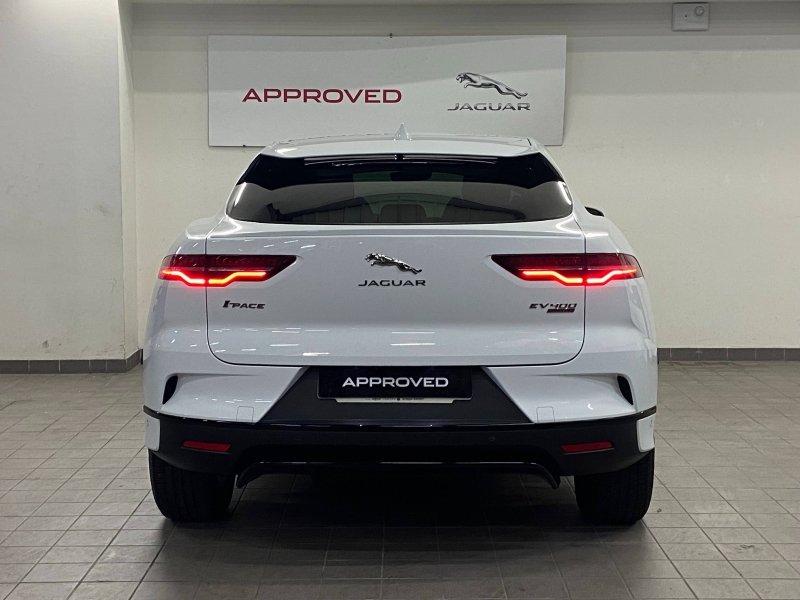 jaguar - Visuel 6