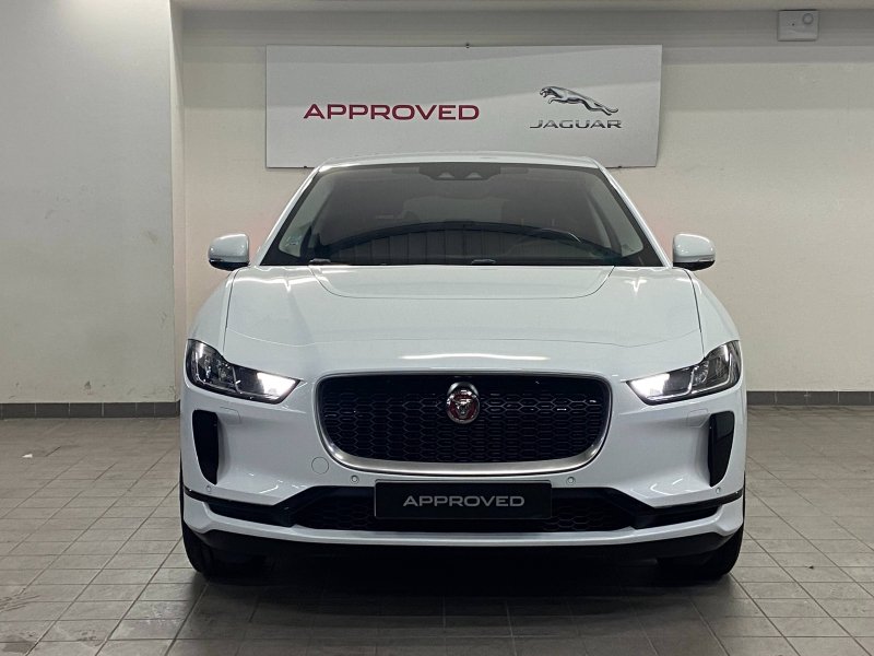 jaguar - Visuel 7