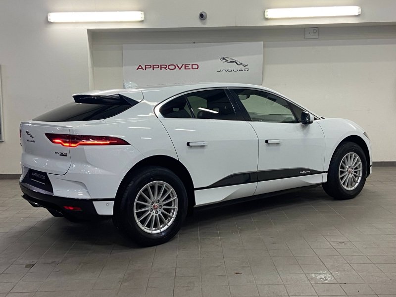 jaguar - Visuel 17