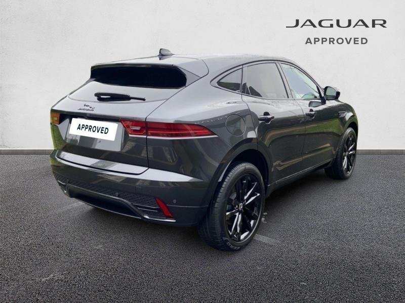 jaguar - Visuel 1