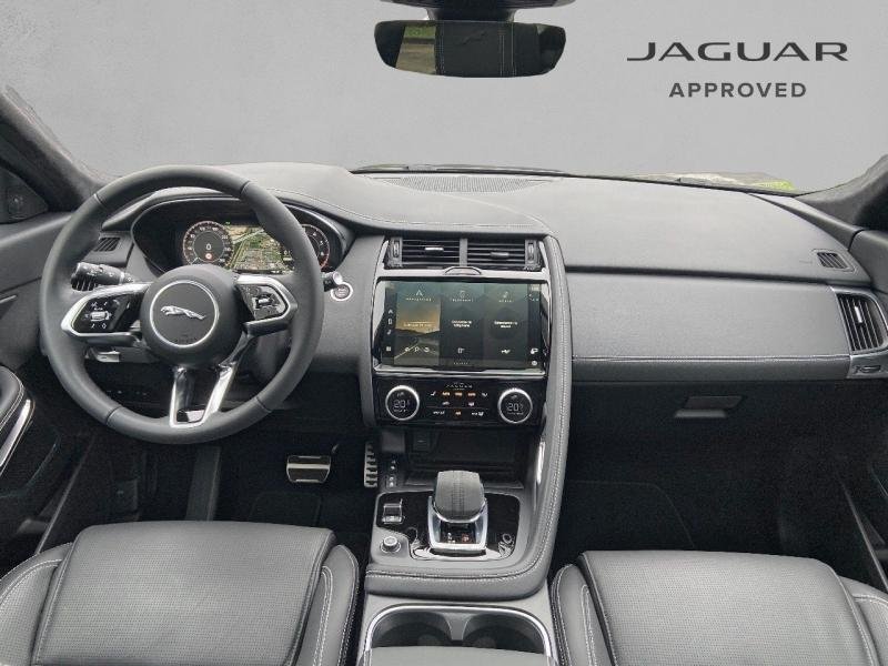 jaguar - Visuel 3