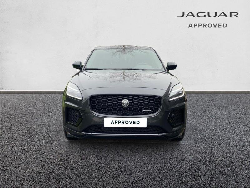 jaguar - Visuel 7